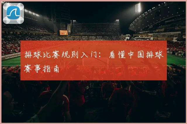 排球比赛规则入门:看懂中国排球赛事指南